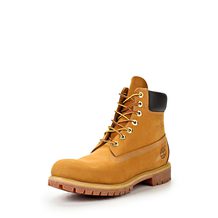 Timberland  6 in Premium FTB