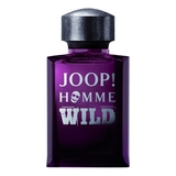 Joop Wild